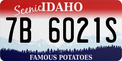 ID license plate 7B6021S