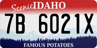 ID license plate 7B6021X