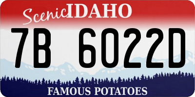 ID license plate 7B6022D