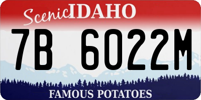 ID license plate 7B6022M