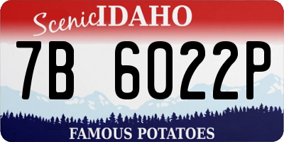 ID license plate 7B6022P