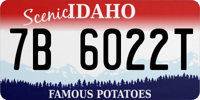 ID license plate 7B6022T