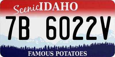 ID license plate 7B6022V