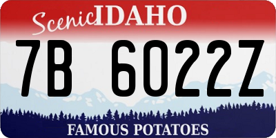 ID license plate 7B6022Z