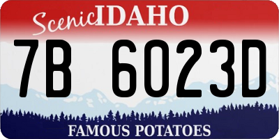ID license plate 7B6023D