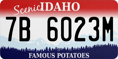 ID license plate 7B6023M