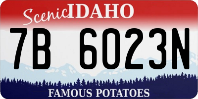 ID license plate 7B6023N