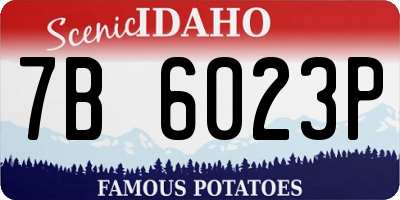 ID license plate 7B6023P