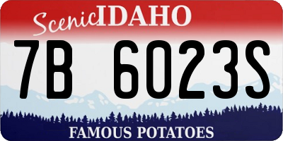 ID license plate 7B6023S