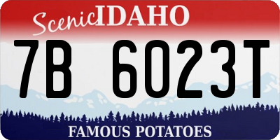 ID license plate 7B6023T