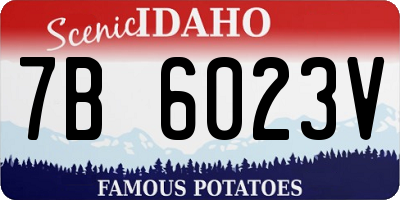 ID license plate 7B6023V