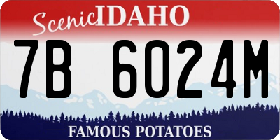 ID license plate 7B6024M