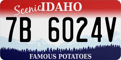 ID license plate 7B6024V