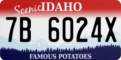 ID license plate 7B6024X