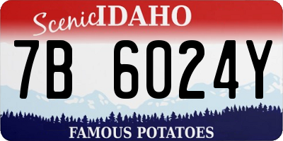 ID license plate 7B6024Y