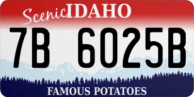 ID license plate 7B6025B
