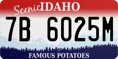 ID license plate 7B6025M