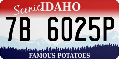 ID license plate 7B6025P