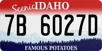 ID license plate 7B6027D