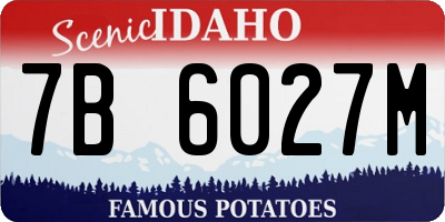 ID license plate 7B6027M