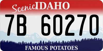 ID license plate 7B6027O