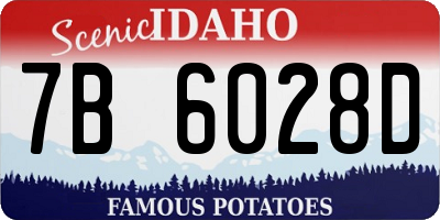 ID license plate 7B6028D