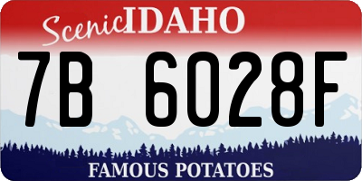 ID license plate 7B6028F