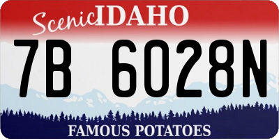 ID license plate 7B6028N