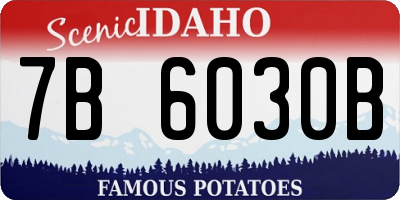 ID license plate 7B6030B
