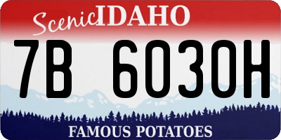 ID license plate 7B6030H