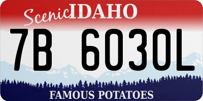 ID license plate 7B6030L