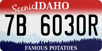 ID license plate 7B6030R