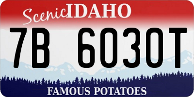 ID license plate 7B6030T