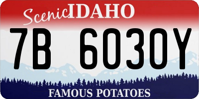 ID license plate 7B6030Y
