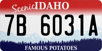 ID license plate 7B6031A