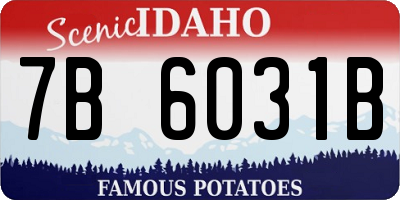 ID license plate 7B6031B