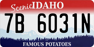 ID license plate 7B6031N