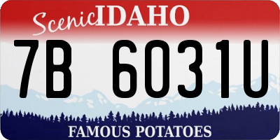 ID license plate 7B6031U