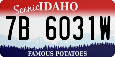 ID license plate 7B6031W