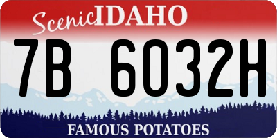 ID license plate 7B6032H