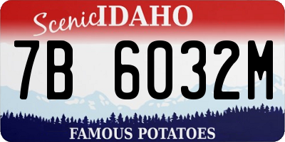 ID license plate 7B6032M