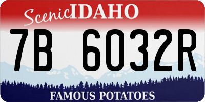 ID license plate 7B6032R