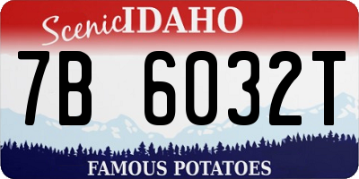 ID license plate 7B6032T