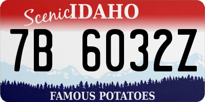 ID license plate 7B6032Z