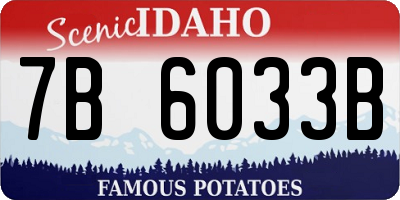 ID license plate 7B6033B