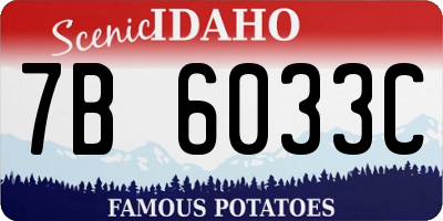 ID license plate 7B6033C