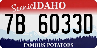 ID license plate 7B6033D
