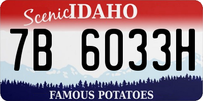 ID license plate 7B6033H