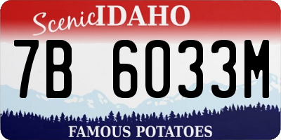 ID license plate 7B6033M