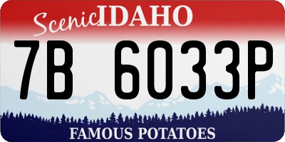 ID license plate 7B6033P